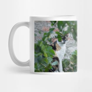 332015 calico wild thing Mug